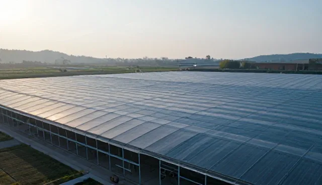Excel公式提示词应用难题及优化策略