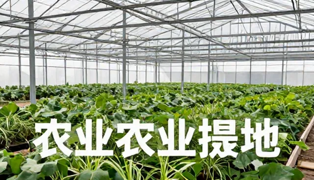 如何用减压提示词缓解办公压力?